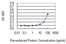 Anti-GREM2 Mouse Monoclonal Antibody [clone: 4D9]