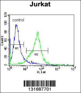 Anti-GCLC Rabbit Polyclonal Antibody (AP (Alkaline Phosphatase))