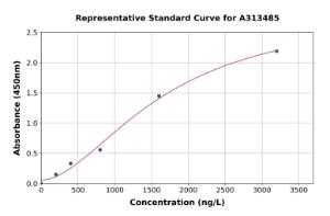 Representative standard curve for human Amylin/DAP ELISA kit (A313485)