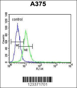 Anti-CS Rabbit Polyclonal Antibody