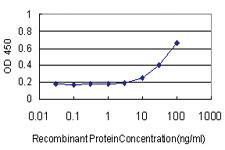 Anti-FGF1 Mouse Monoclonal Antibody [clone: 2E12]