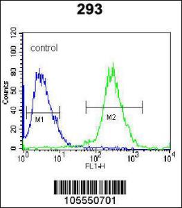 Anti-UCK2 Rabbit Polyclonal Antibody (FITC (Fluorescein))