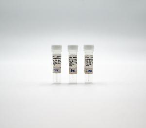 Human recombinant FasL (soluble)