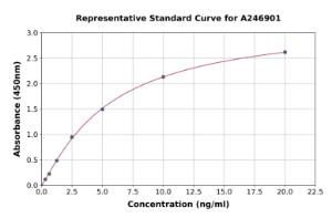 Representative standard curve for Human TMLHE ELISA kit (A246901)