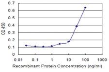 Anti-INPP1 Mouse Monoclonal Antibody [clone: 1A6]