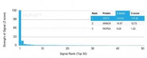 Analysis of protein array containing more than 19,000 full-length human proteins using Anti-VISTA Antibody [VISTA/3006]