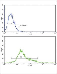 Anti-CSF1R Rabbit Polyclonal Antibody (AP (Alkaline Phosphatase))