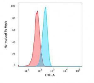 Flow cytometric analysis of PFA fixed HeLa cells using Anti-beta Catenin Antibody followed by Goat Anti-Rabbit IgG (CF and #174; 488) (Blue). Isotype Control (Red)