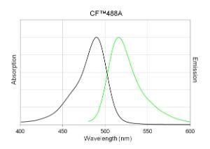 CF® Dye Dextran 250000 MW, anionic and fixable