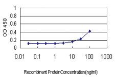 Anti-HCK Mouse Monoclonal Antibody [clone: 2A6]