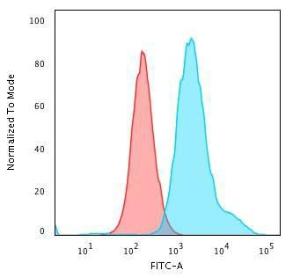 Flow cytometric analysis of PFA fixed HeLa cells using Anti-Cytokeratin 7 Antibody [KRT7/1499R] followed by Goat Anti-Rabbit IgG (CF&#174; 488) (Blue). Isotype Control (Red)