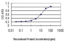 Anti-INPPL1 Mouse Monoclonal Antibody [clone: 3E6]