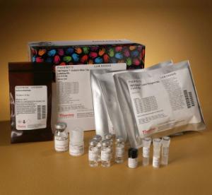 Isobaric Mass Tag Labelling Kit and Reagent Sets, TMT10plex™