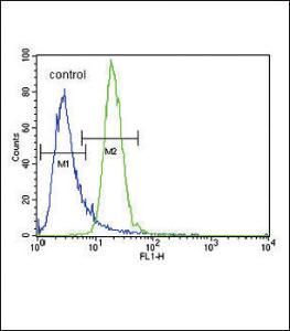 Anti-PRKAA2 Rabbit Polyclonal Antibody (AP (Alkaline Phosphatase))