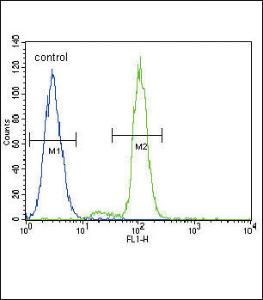 Anti-FER Rabbit Polyclonal Antibody (Biotin)