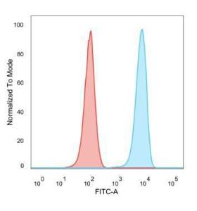 Flow cytometric analysis of PFA fixed HeLa cells using Anti-SET Antibody [PCRP-SET-1C6] followed by Goat Anti-Mouse IgG (CF&#174; 488) (Blue). Isotype Control (Red)