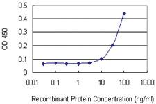 Anti-FGF5 Mouse Monoclonal Antibody [clone: 1B4]