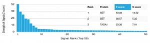 Analysis of protein array containing more than 19000 full-length human proteins using Anti-SET Antibody [PCRP-SET-1C6].