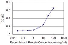 Anti-INSRR Mouse Monoclonal Antibody [clone: 2C1]