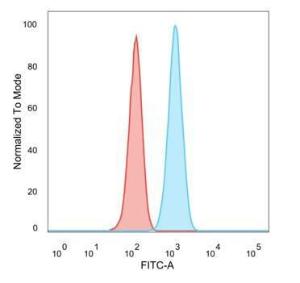 Flow cytometric analysis of PFA fixed HeLa cells using Anti-SCXA Antibody [PCRP-SCXA-2D11] followed by Goat Anti-Mouse IgG (CF&#174; 488) (Blue). Unstained cells (red)