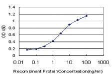 Anti-SEMA7A Mouse Monoclonal Antibody [clone: 3D3]