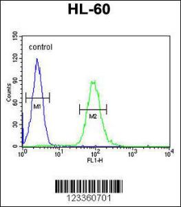 Anti-CSF2 Rabbit Polyclonal Antibody (FITC (Fluorescein Isothiocyanate))