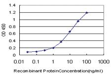 Anti-HCLS1 Mouse Monoclonal Antibody [clone: 1A8]