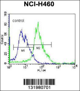 Anti-GGH Rabbit Polyclonal Antibody