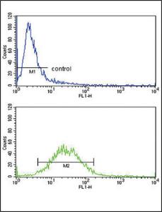 Anti-CSF3R Rabbit Polyclonal Antibody (APC (Allophycocyanin))