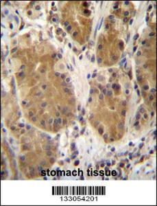 Anti-PCDHB5 Rabbit Polyclonal Antibody (FITC (Fluorescein Isothiocyanate))