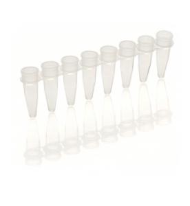 PCR tube and cap strips