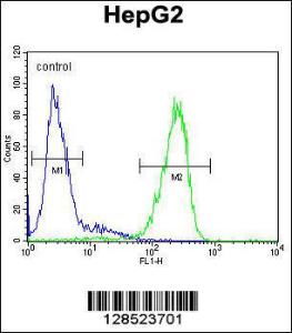 Anti-LMF2 Rabbit Polyclonal Antibody (APC (Allophycocyanin))