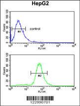 Anti-Glutathione S Transferase alpha 4 Rabbit Polyclonal Antibody (FITC (Fluorescein))