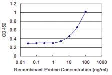 Anti-RGS18 Mouse Monoclonal Antibody [clone: 1G12]