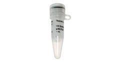 FERMB04 - BUFFER 10X FOR CFR10I 1ML