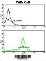 Anti-KRT18 Rabbit Polyclonal Antibody