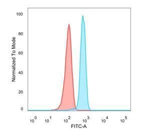 Flow cytometric analysis of PFA fixed HeLa cells using Anti-N Myc Interactor Antibody [PCRP-NMI-1C1] followed by Goat Anti-Mouse IgG (CFand#174; 488) (Blue). Unstained cells (red)