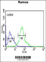 Anti-GBAS Rabbit Polyclonal Antibody