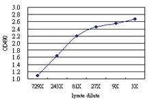 Anti-ACSL5 Antibody Pair