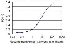 Anti-DDX56 Mouse Monoclonal Antibody [clone: 6B9]