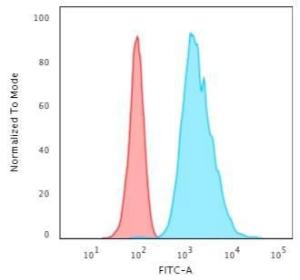 Flow cytometric analysis of HeLa cells using Anti-Cytokeratin 8 Antibody [H1] followed by Goat Anti-Mouse IgG (CFand#174; 488) (Blue). Isotype Control (Red)