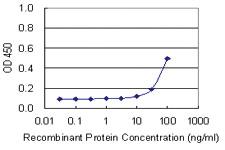 Anti-GPC5 Mouse Monoclonal Antibody [clone: 1C9]