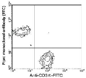 Anti-PTPRC Rat Monoclonal Antibody (Spectral Red®) [clone: RA3-6B2]