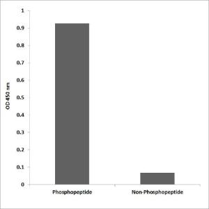 ELISA for immunogen phosphopeptide (left) and non-phosphopeptide (right) using Anti-MAP3K1 (phospho Thr1402) Antibody