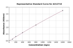 Representative standard curve for Human Carbonic Anhydrase 5B/CA5B ELISA kit (A312710)