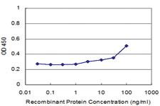 Anti-IFITM1 Mouse Monoclonal Antibody [clone: 1F8]