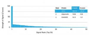 Analysis of protein array containing more than 19000 full-length human proteins using Anti-CD14 Antibody [LPSR/2408]