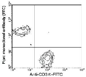 Anti-PTPRC Rat Monoclonal Antibody (PE (Phycoerythrin)/Cy7® ) [clone: RA3-6B2]