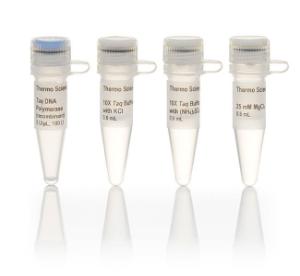 <i>Taq</i> DNA polymerase (recombinant)