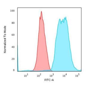 Flow cytometric analysis of trypsinized methanol fixed HeLa cells using Anti-Cytokeratin 8 Antibody [SPM538] followed by Goat Anti-Mouse IgG (CF and #174; 488) (Blue). Isotype Control (Red)